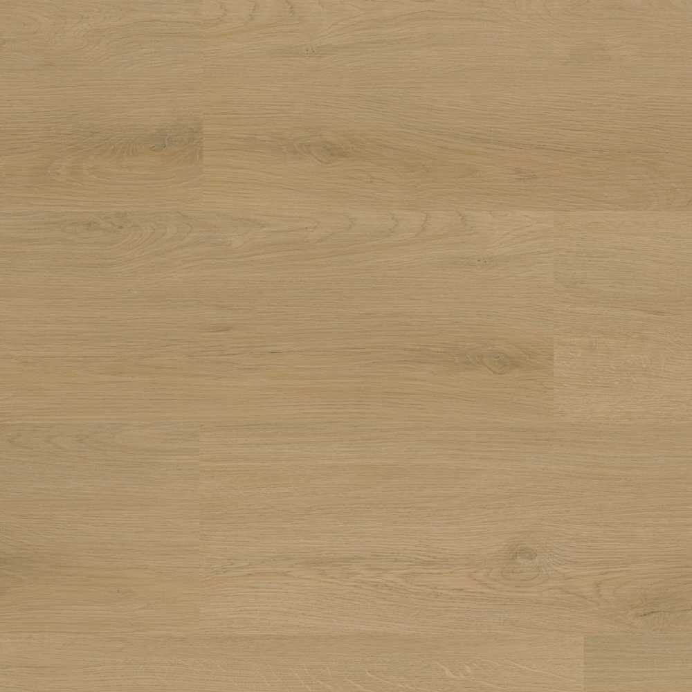 PVC dryback Patrizio